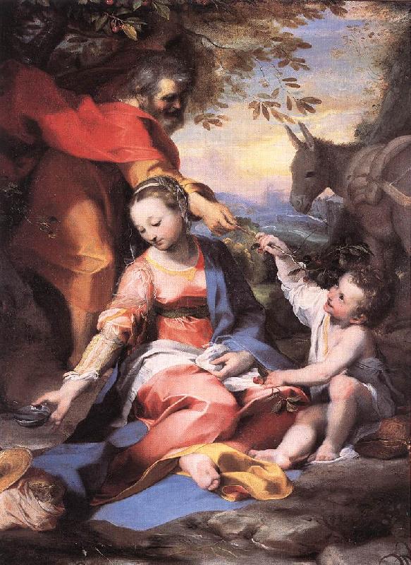  Rest on the Flight to Egypt sw